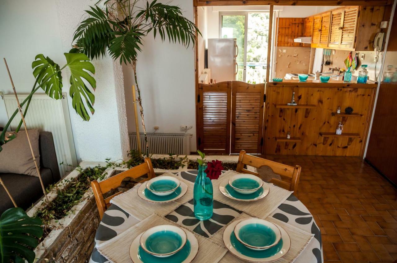 Paradise View Apartment PalaiónTsiflíkion Dış mekan fotoğraf